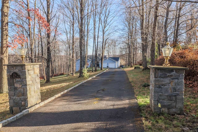 73A Long Meadow Hill Rd, Brookfield, CT 06804 - view of asphalt driveway featuring street lighting