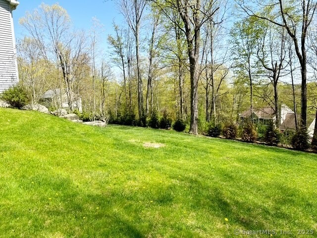 73A Long Meadow Hill Rd, Brookfield, CT 06804 - view of grassy yard