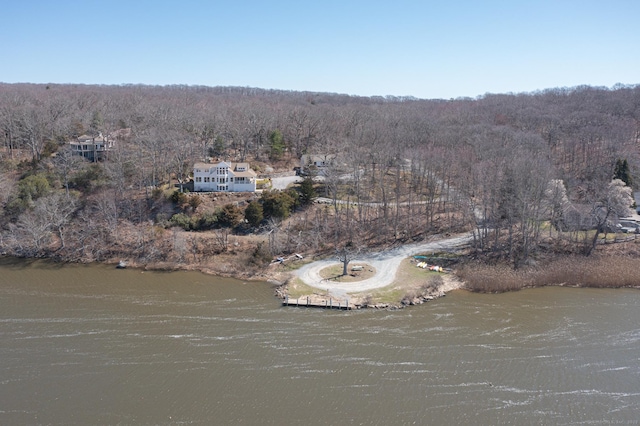 aerial view with a water view and a view of trees