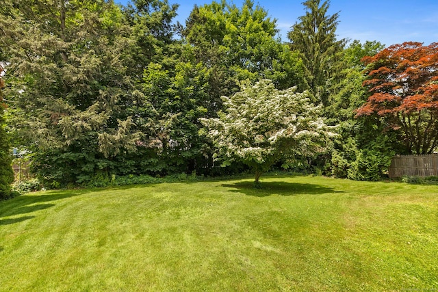 30 Phelps Rd, Manchester, CT 06042 - view of yard