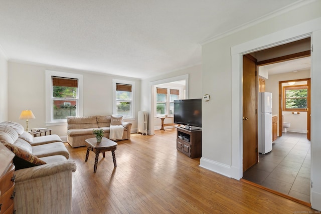 30 Phelps Rd, Manchester, CT 06042 - living area featuring healthy amount of natural light, radiator, crown molding, and wood finished floors