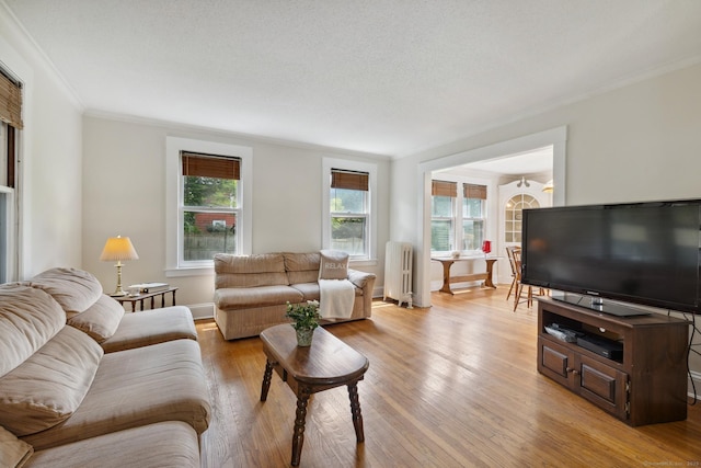 30 Phelps Rd, Manchester, CT 06042 - living area with radiator heating unit, light wood-type flooring, and ornamental molding