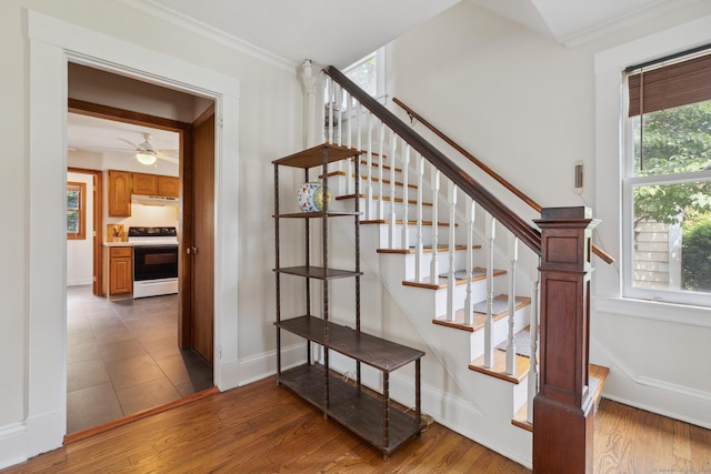 30 Phelps Rd, Manchester, CT 06042 - stairway with wood finished floors, ceiling fan, and ornamental molding