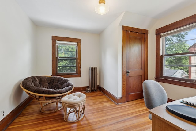 30 Phelps Rd, Manchester, CT 06042 - home office with radiator, light wood finished floors, and plenty of natural light
