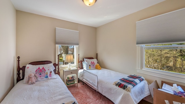 3 Mountain Dr, New Milford, CT 06776 - view of carpeted bedroom