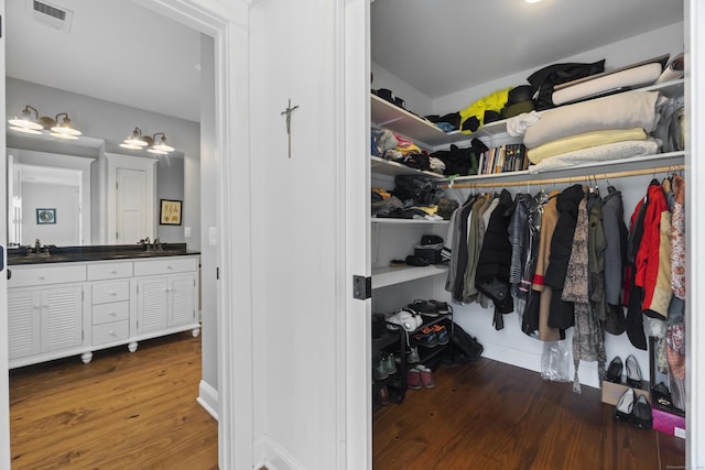 136 Tater Hill Rd, East Haddam, CT 06423 - walk in closet featuring wood finished floors and a sink