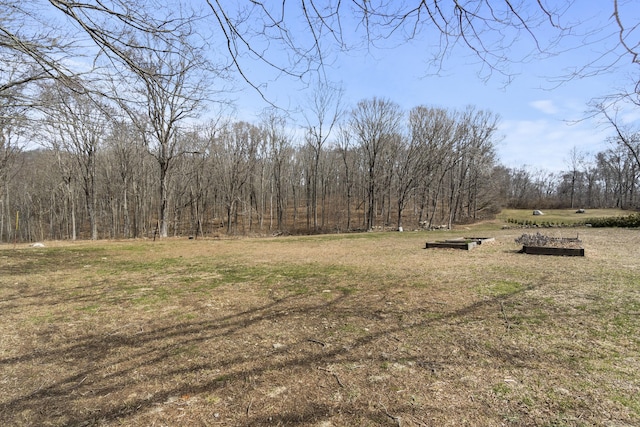 136 Tater Hill Rd, East Haddam, CT 06423 - view of yard featuring a view of trees