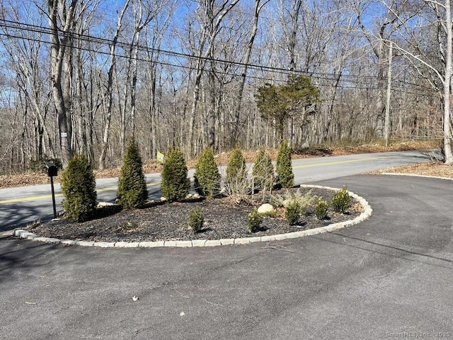 view of road with curbs