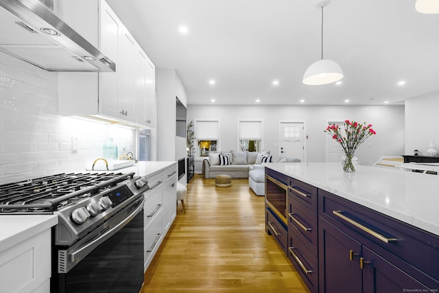 27 Hauser St, Milford, CT 06460 - kitchen with light wood-type flooring, white cabinets, appliances with stainless steel finishes, blue cabinets, and ventilation hood