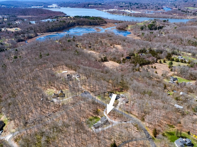 8 Shelter Rock Rd, East Haddam, CT 06423 - aerial view of property's location with a nearby body of water
