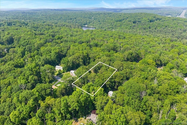 10 Lucerne Dr, Willington, CT 06279 - photo 13