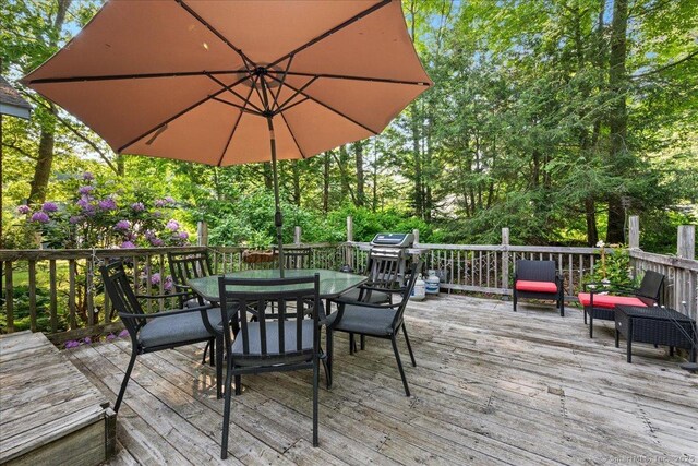 10 Lucerne Dr, Willington, CT 06279 - photo 35