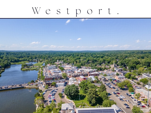 3 Laurel Ln, Westport, CT 06880 - bird's eye view of a forest and a nearby body of water