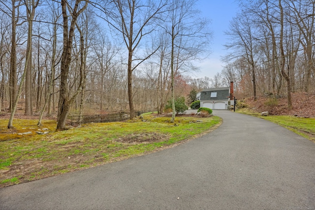 view of road featuring driveway