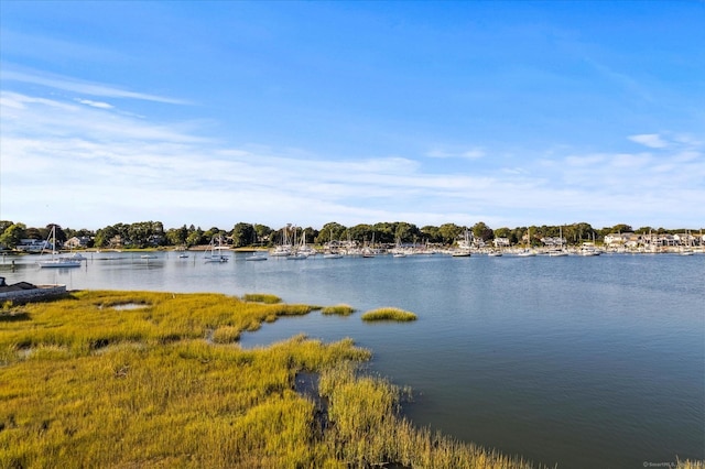 231 Pawson Rd, Branford, CT 06405 - water view