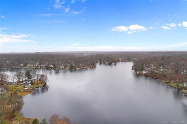 water view featuring a forest view