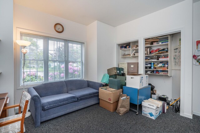 175 Thistle Pond Dr Unit 175, Bloomfield, CT 06002 - living area featuring carpet floors