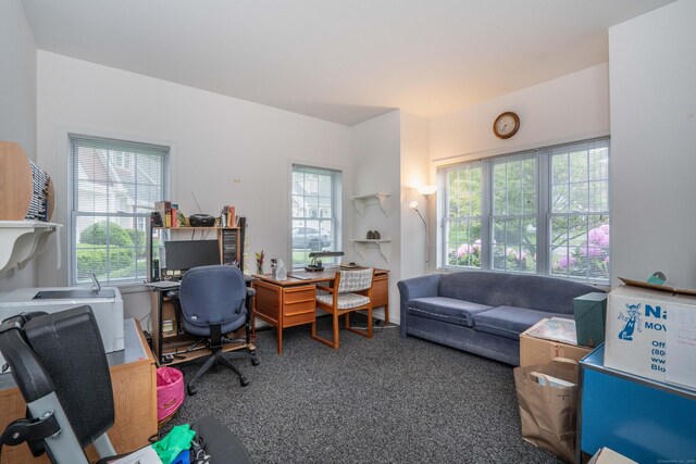 175 Thistle Pond Dr Unit 175, Bloomfield, CT 06002 - view of carpeted office