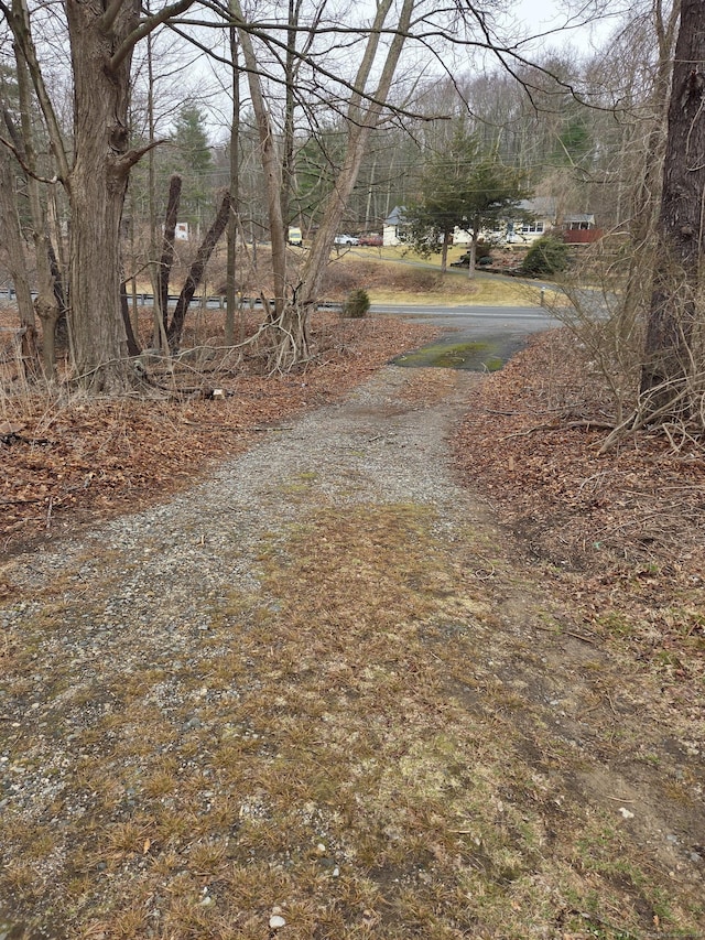 127 Rte 6, Columbia, CT 06237 - view of dirt / gravel road