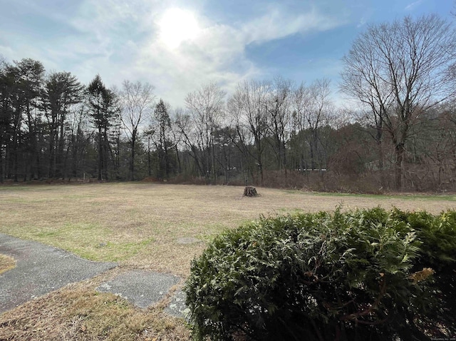 view of yard featuring a view of trees