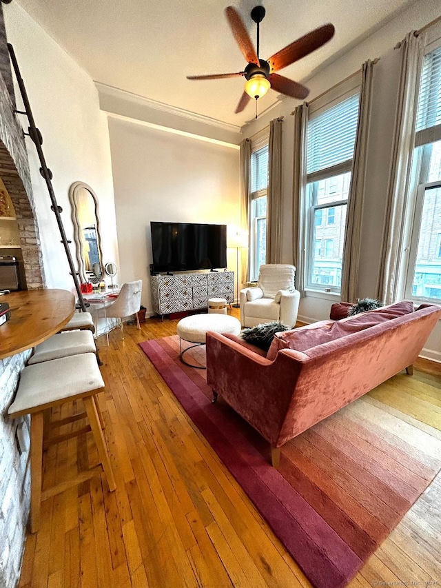 134 Washington St Apt 201, Norwalk, CT 06854 - living area with a ceiling fan and hardwood / wood-style floors