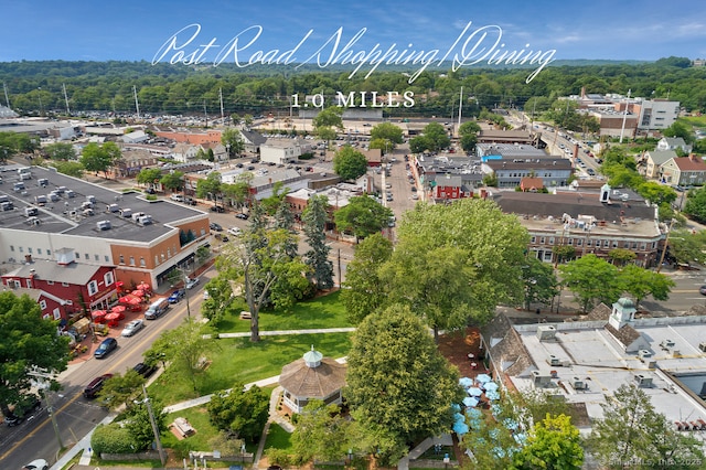 drone / aerial view