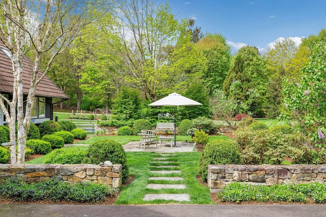 view of yard with a patio