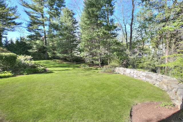 view of green lawn