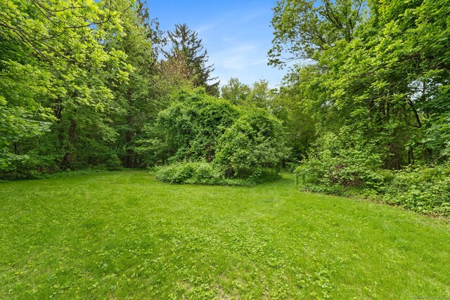 81 Beelzebub Rd, South Windsor, CT 06074 - view of green lawn with a view of trees