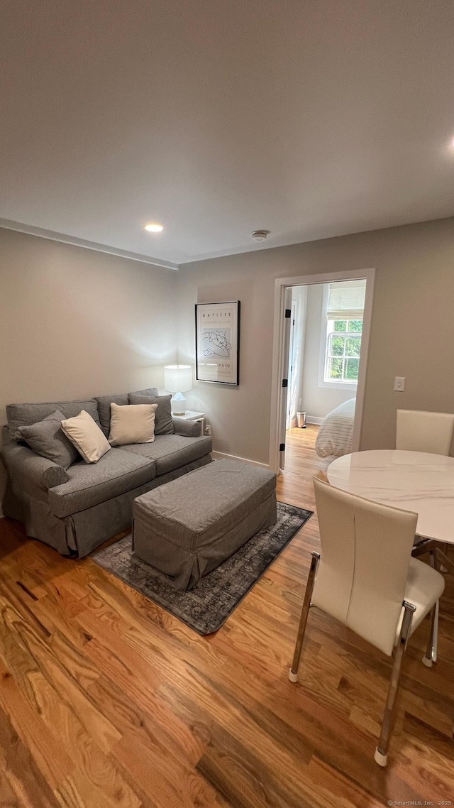23 Main St, East Haddam, CT 06423 - living area with wood finished floors and recessed lighting