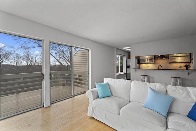 living room with light wood-style flooring and plenty of natural light