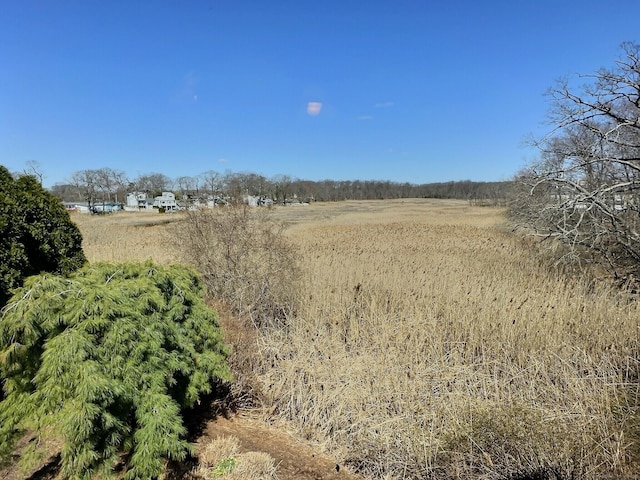 78 Limewood Ave, Branford, CT 06405 - view of nature