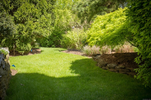 78 Limewood Ave, Branford, CT 06405 - view of grassy yard
