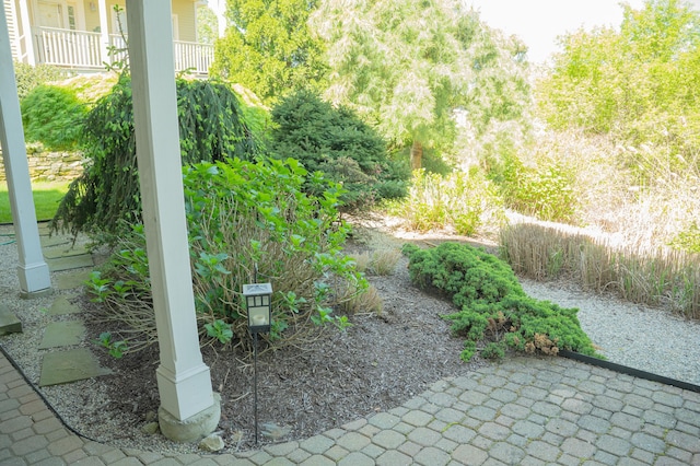 78 Limewood Ave, Branford, CT 06405 - view of yard