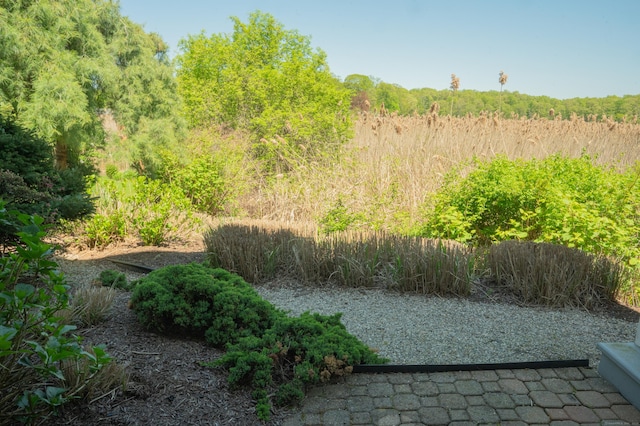 78 Limewood Ave, Branford, CT 06405 - view of yard featuring a wooded view
