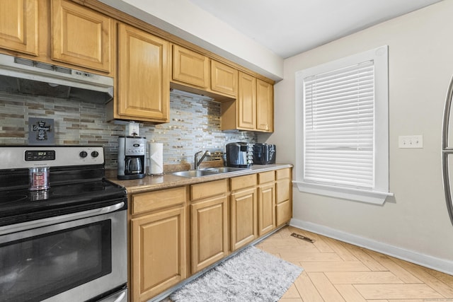 kitchen featuring a sink, under cabinet range hood, baseboards, electric stove, and decorative backsplash
