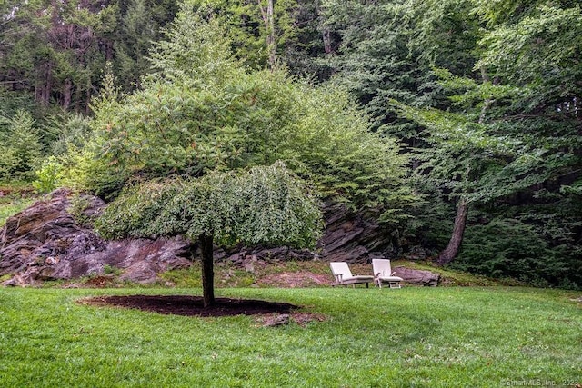 18 Tunnel Rd, Roxbury, CT 06783 - view of green lawn featuring a wooded view
