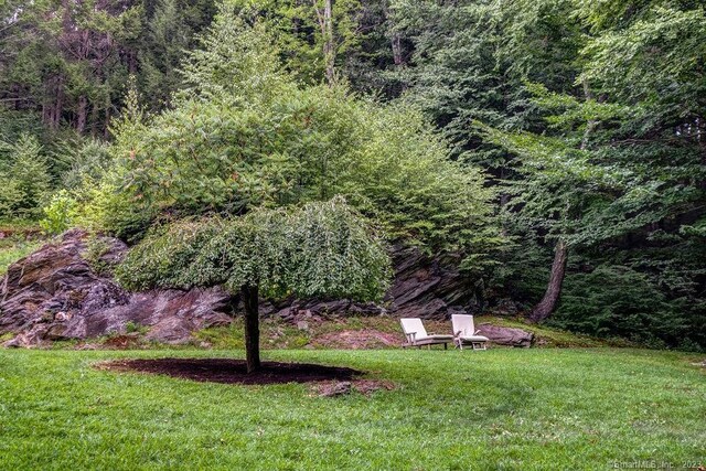 18 Tunnel Rd, Roxbury, CT 06783 - view of grassy yard with a view of trees