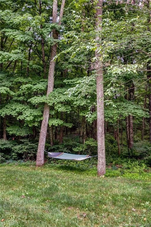 18 Tunnel Rd, Roxbury, CT 06783 - view of yard with a forest view