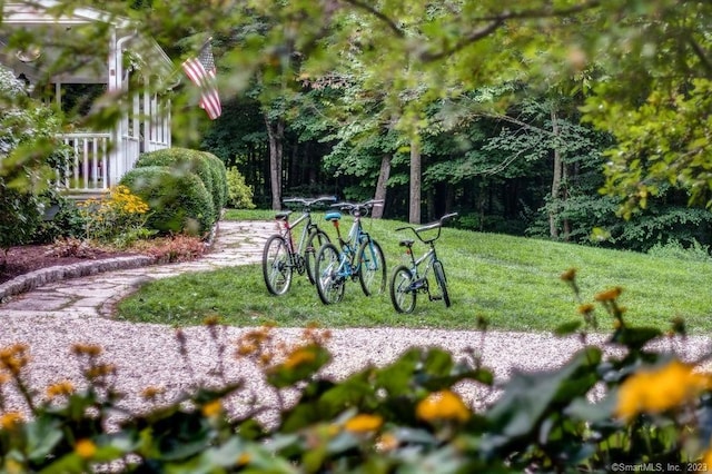 18 Tunnel Rd, Roxbury, CT 06783 - view of grassy yard