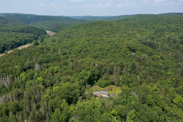 18 Tunnel Rd, Roxbury, CT 06783 - bird's eye view of a forest