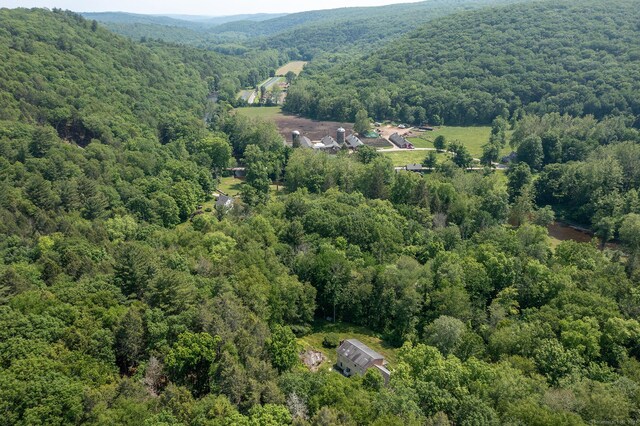 18 Tunnel Rd, Roxbury, CT 06783 - view of property location featuring a heavily wooded area