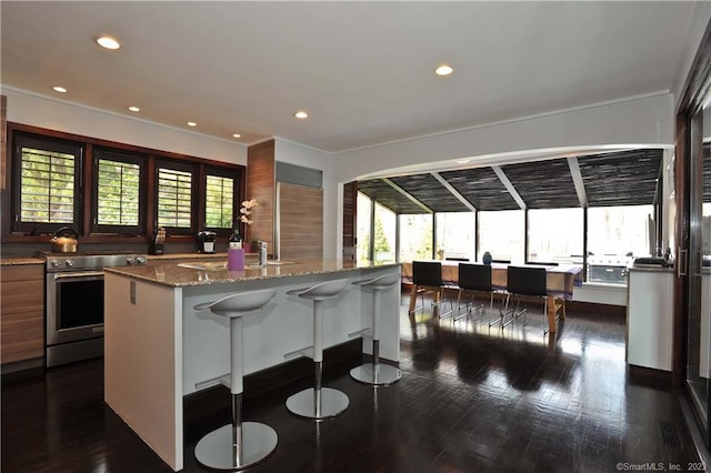 247 Painter Hill Rd, Roxbury, CT 06783 - kitchen featuring stainless steel electric stove, plenty of natural light, stone counters, dark wood-type flooring, and recessed lighting