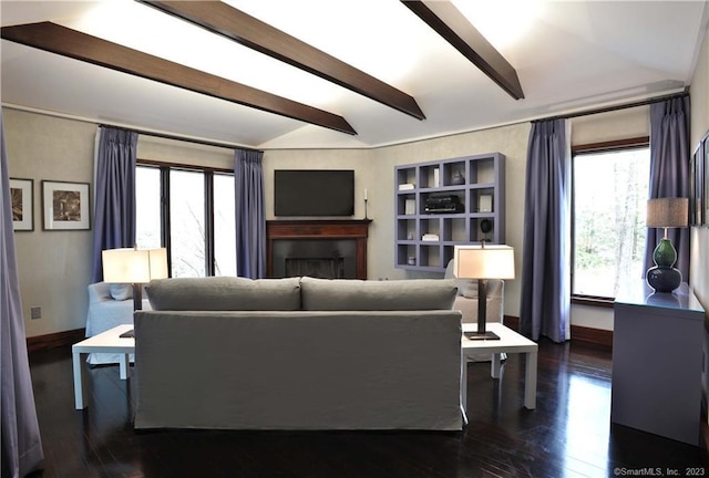 247 Painter Hill Rd, Roxbury, CT 06783 - living room featuring plenty of natural light, dark wood-style floors, and a fireplace