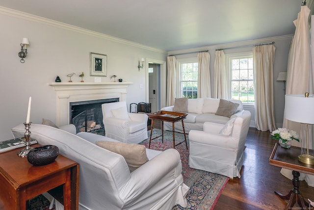 10 Sunny Ridge Rd, Washington, CT 06793 - living area with ornamental molding, dark wood finished floors, and a fireplace