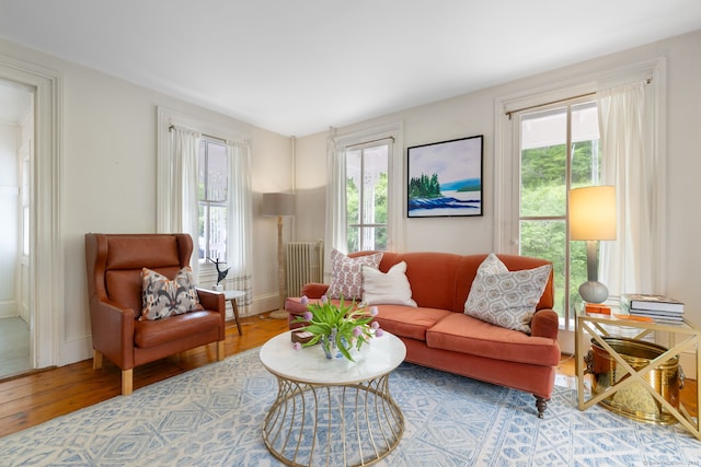 4 Lime Rock Holw, Salisbury, CT 06039 - living room featuring wood finished floors and baseboards