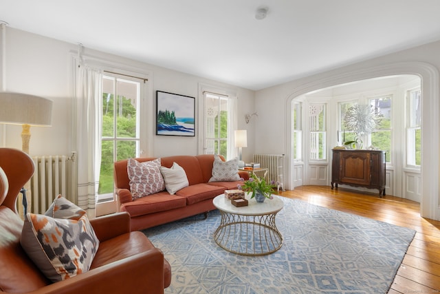 4 Lime Rock Holw, Salisbury, CT 06039 - living room featuring radiator, hardwood / wood-style floors, and arched walkways