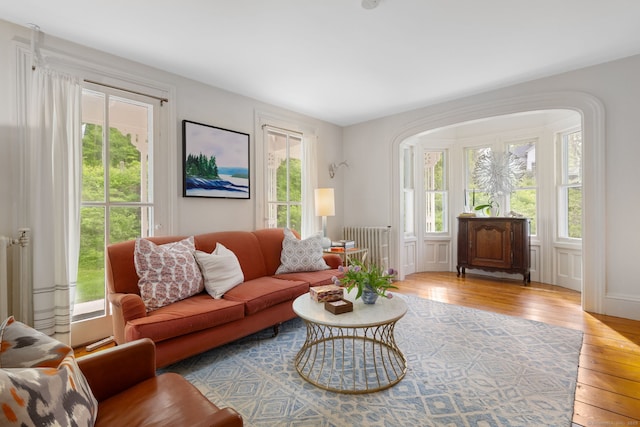 4 Lime Rock Holw, Salisbury, CT 06039 - living room with wood-type flooring, radiator heating unit, and arched walkways