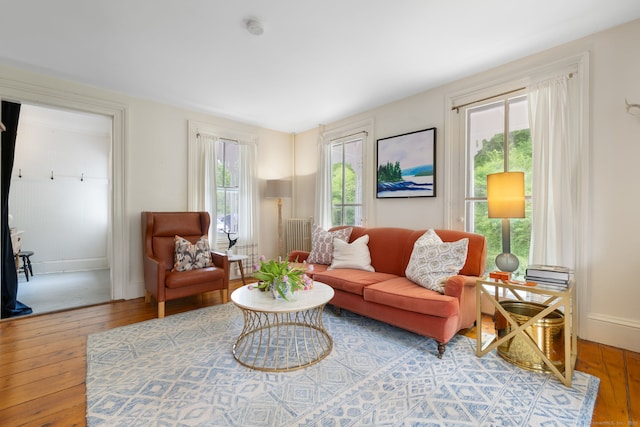 4 Lime Rock Holw, Salisbury, CT 06039 - living area with hardwood / wood-style flooring, baseboards, and radiator heating unit