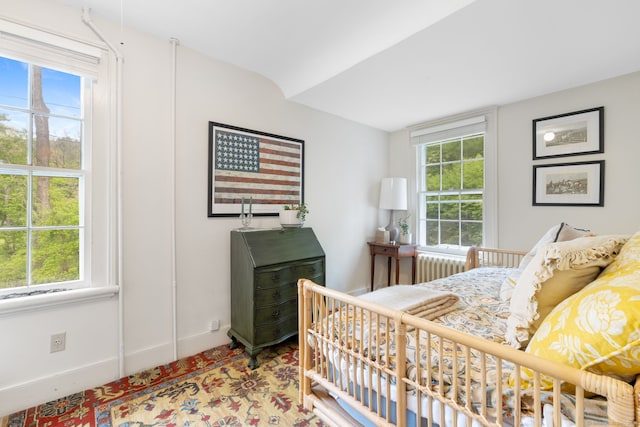 4 Lime Rock Holw, Salisbury, CT 06039 - bedroom featuring multiple windows, radiator, and baseboards